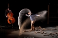 EVIDENCES INCONNUES